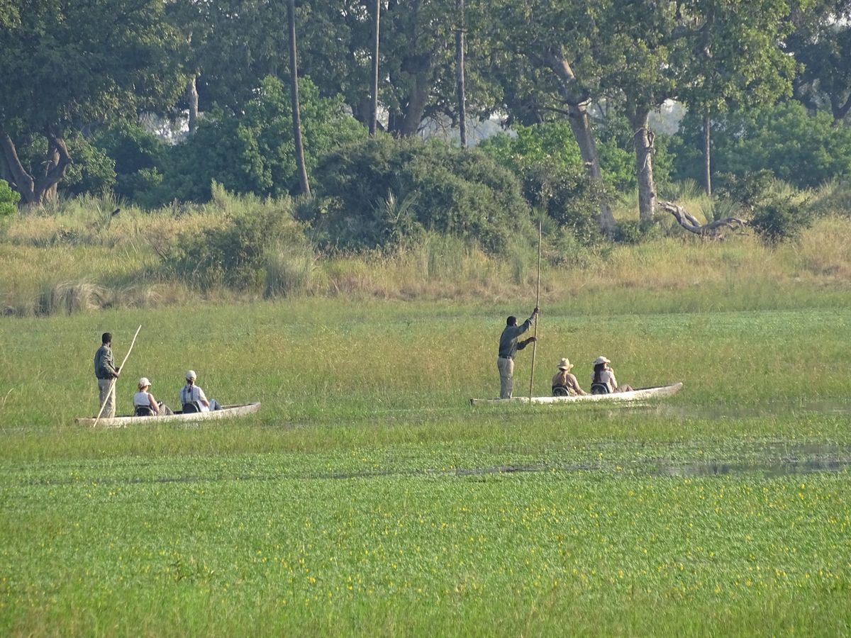 Okavango Delta mokoro