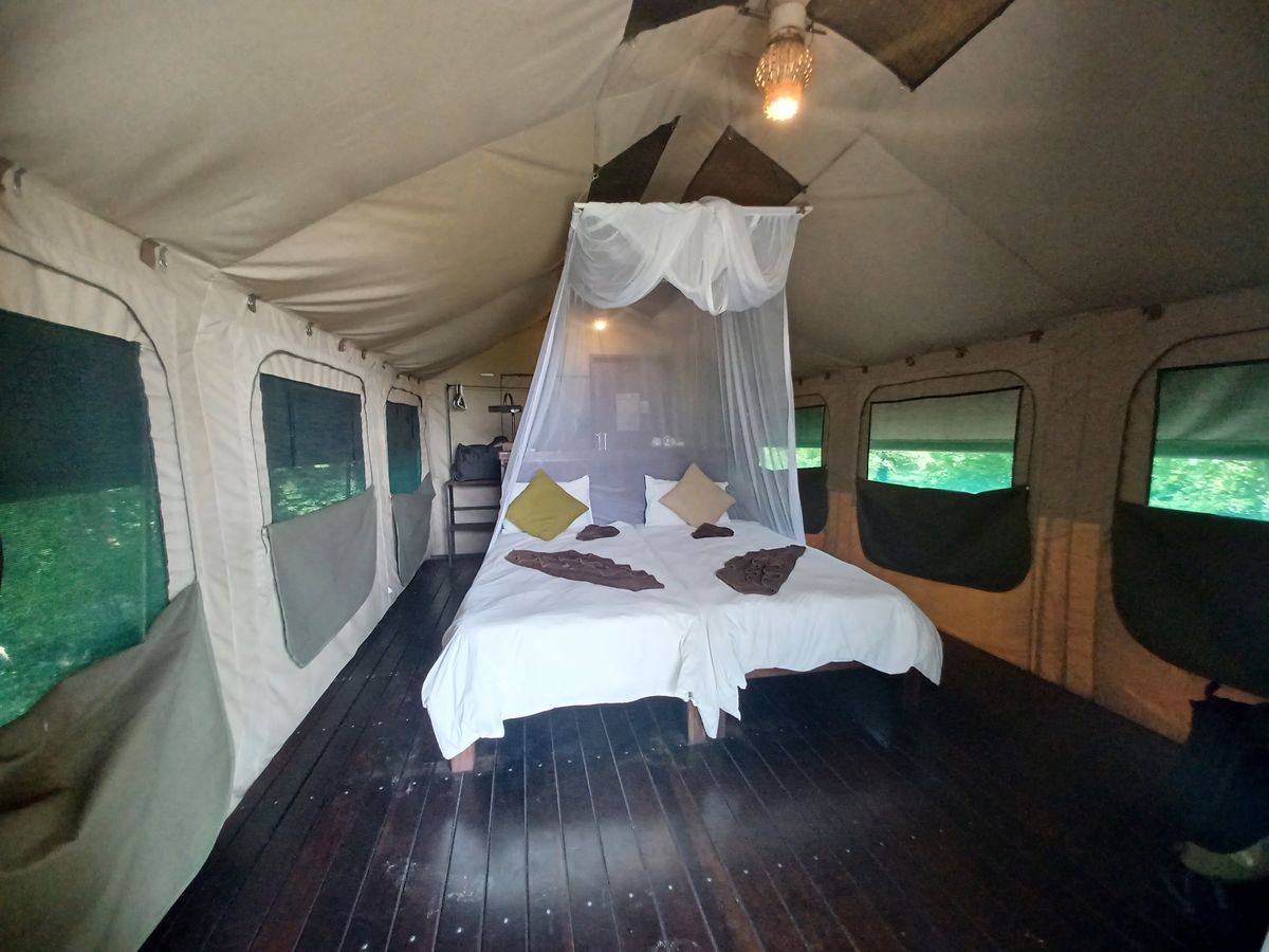 Nkasa Lupala Tented Lodge tent interior