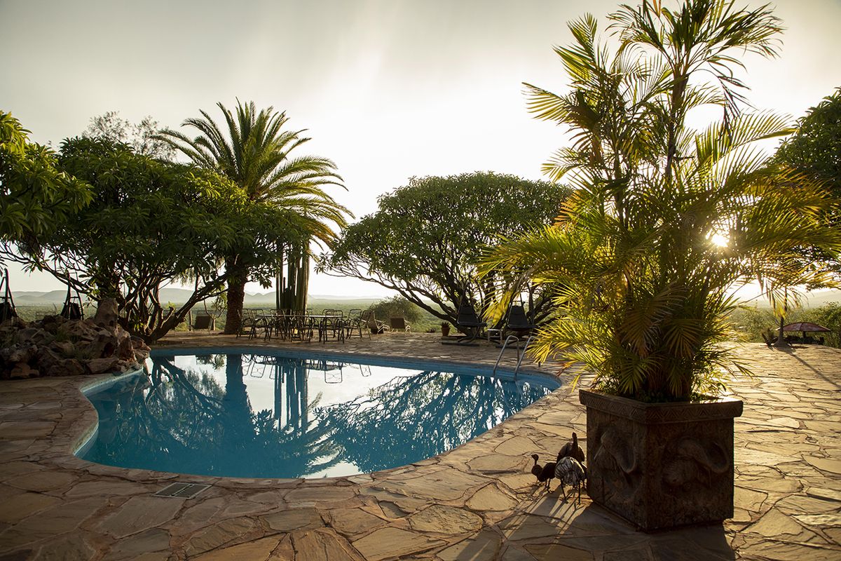 Bambatsi pool