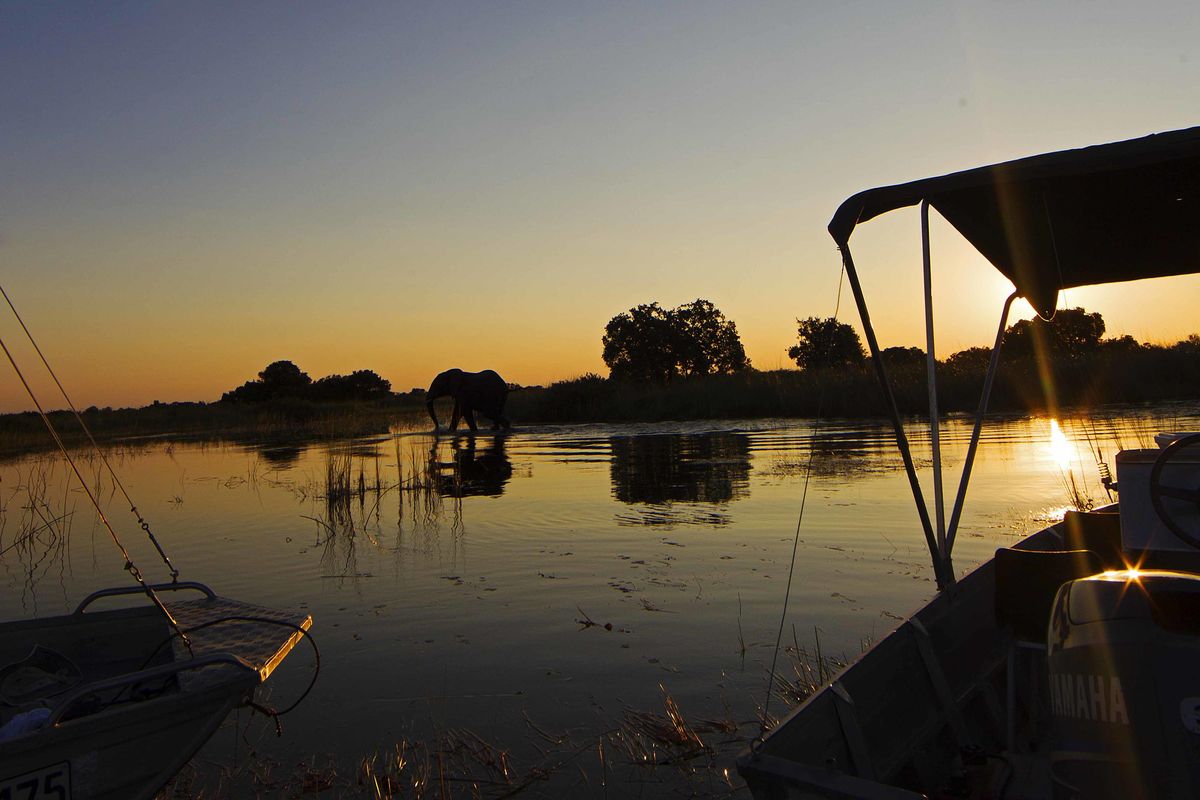 Camp Okavango sunset cruise