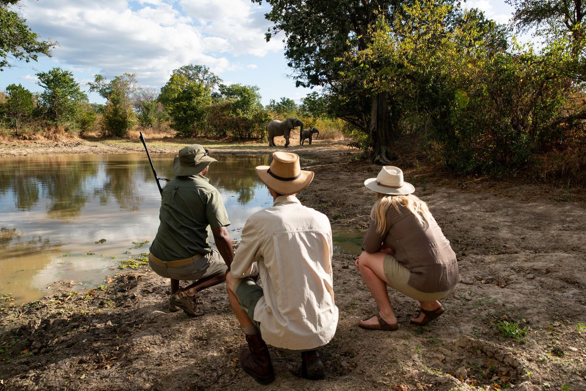 Mana River walking safari