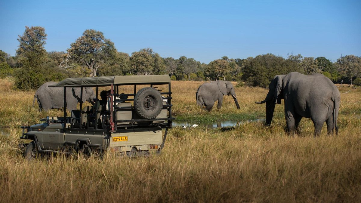 Little Sable game drive elis