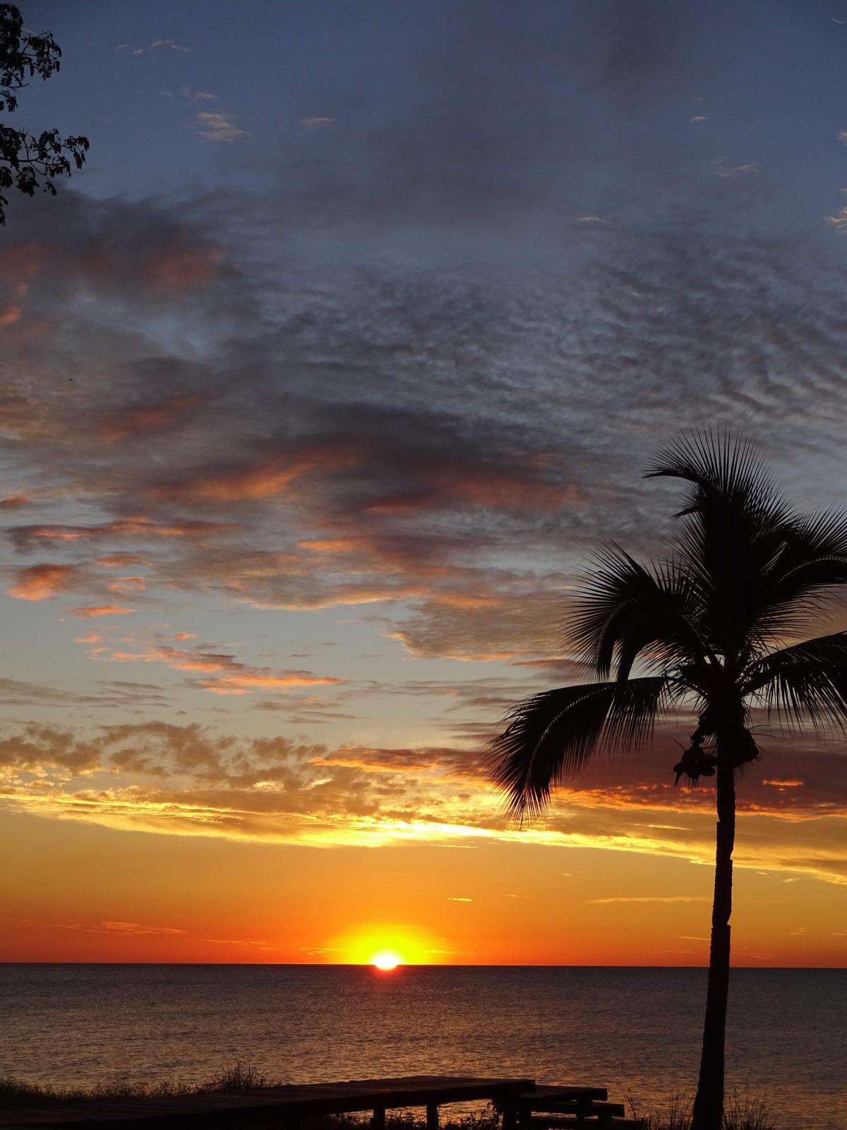 Sonnenuntergang am Meer mit Palme am Stag auf einer ehemaligen Pirteninsel vor Madagaskar
