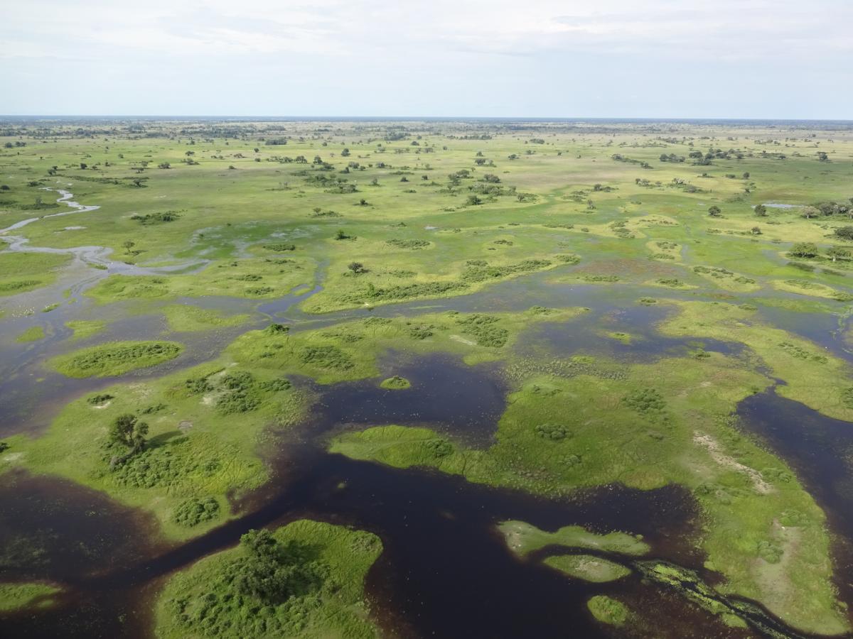 Okavango Delta aus der Vogelperspektive