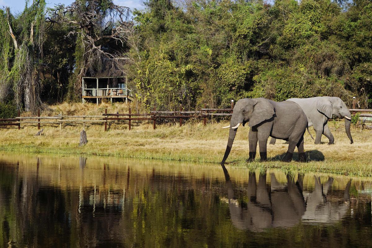 Elefanten am Wasserloch vor einer Lodge in Botswana mit schöner Wasserspiegelung und Hütten im Hintergrund in Abendstimmung