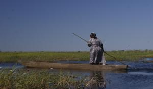 Unternehmen Sie unvergessliche Bootsausflüge auf Mokoros im Okavango Delta in Botswana