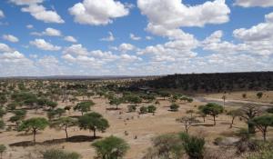 Genießen Sie die herrliche Landschaft im Tarangire National Park in Tanzania