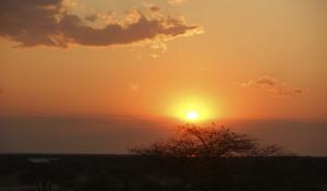 Beginnen Sie Ihre Nachtsafari im Etoscha National Park in Namibia mit einem wunderschönen Sonnenuntergang