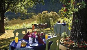 Gönnen Sie sich eine Auszeit in der herrlichen Gartenanlage des Foresters Arms Hotels in Swaziland