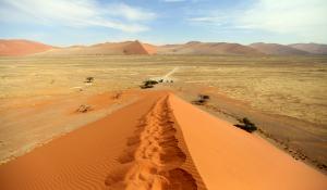 Der Ausblick über die orangenen Dünen des Sossusvlei in Namibia ist ein unvergesslicher Moment