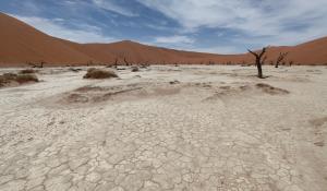 Erleben Sie den einzigartigen Anblick des Dead Vlei im Namib Naukluft National Park
