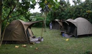 Erleben Sie Uganda naturnah und authentisch bei einer Campingsafari