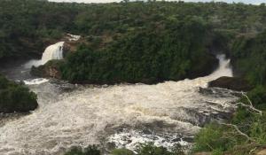 An den imposanten Murchison Falls in Ruanda fällt der Nil etwa 40 m tief in das Rift Valley hinab