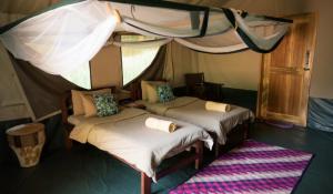 Murchison River Lodge - Safari Zelt innen