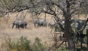 Beobachten Sie von Ihrer "Tented Suite" in der Nkasa Lupala Lodge in Namibia die vorbeiwandernden Elefanten