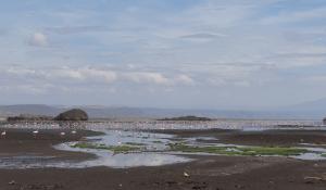 Beobachten Sie die eindrucksvollen Flamingo-Kolonien am Lake Natron in Tanzania