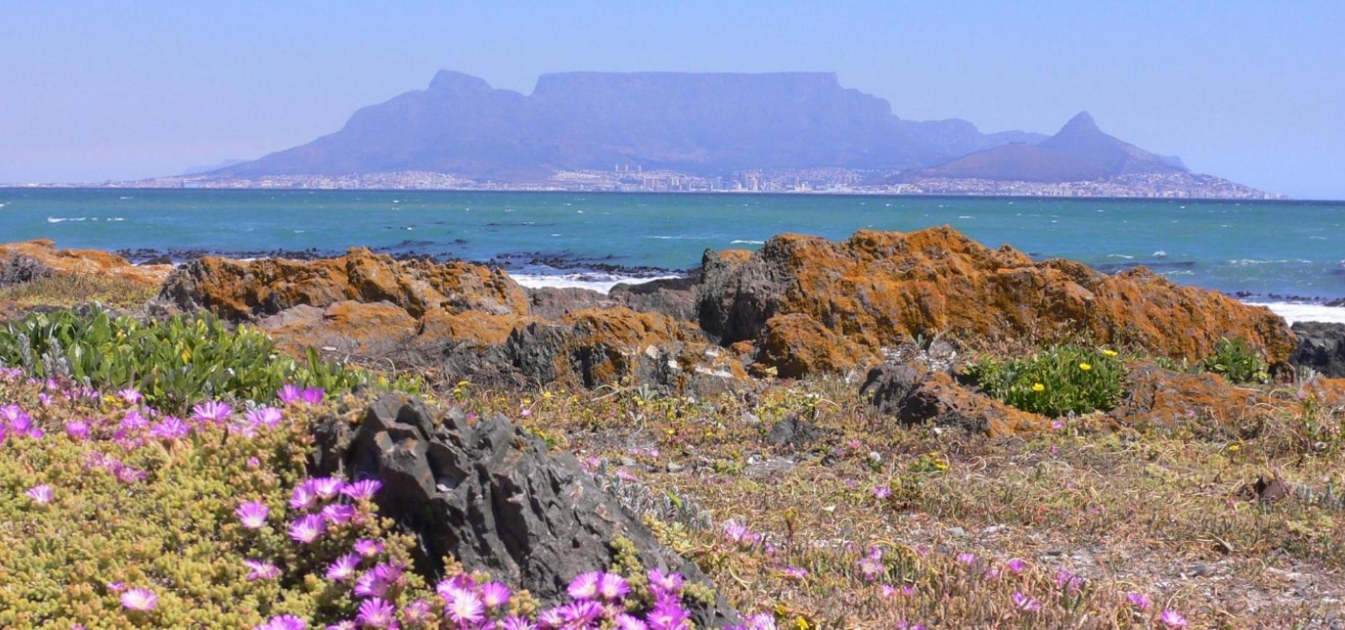 Afrika Reise: Kapstadt mit dem Tafelberg und die Kapregion entdecken