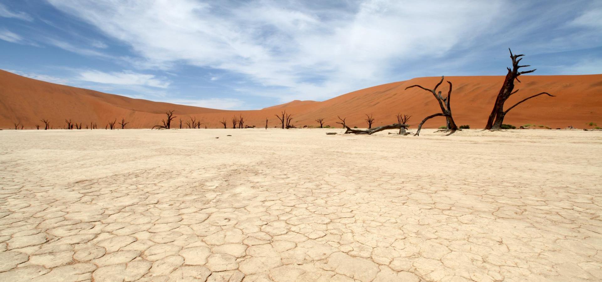 Namib Wüste - Namibia Reisen & Urlaub