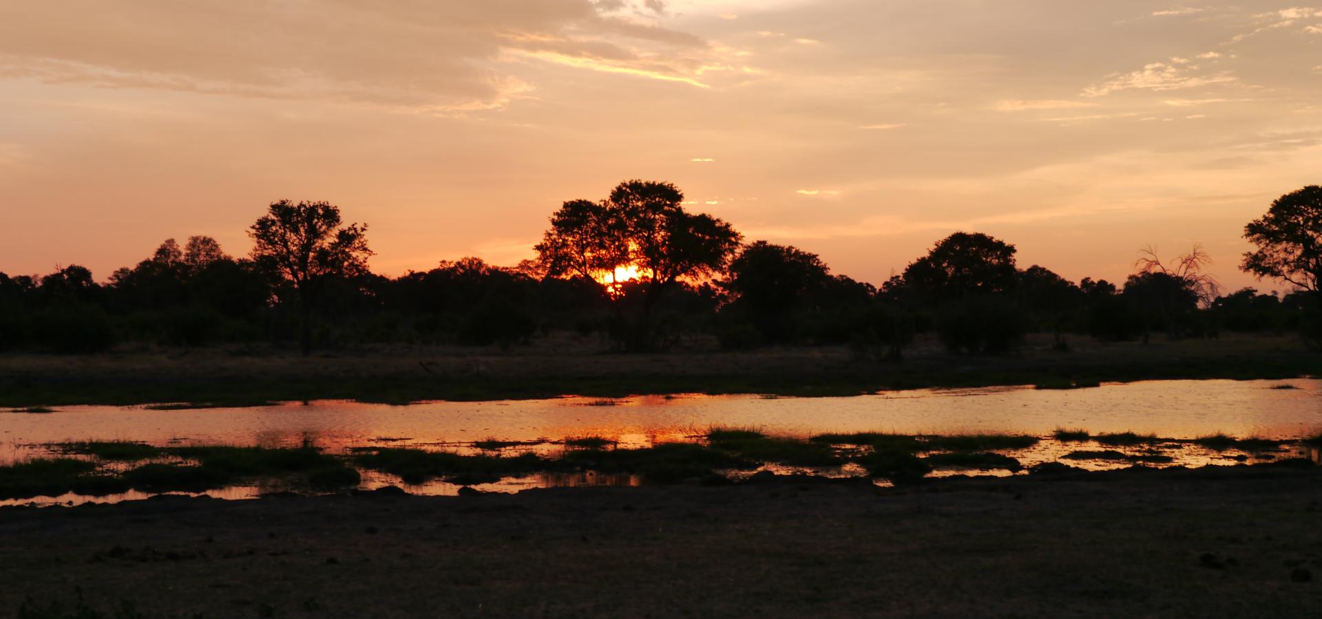 Genießen Sie romantische Sonnenuntergänge im Okavango Delta in Botswana