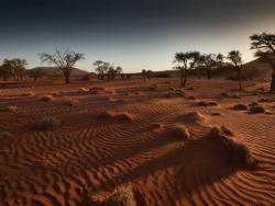 Kalahari Wüste