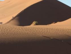 Dünen in der Namibia Wüste