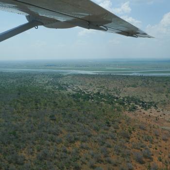 Fly-In Safari zu Botswanas Tierparadiesen